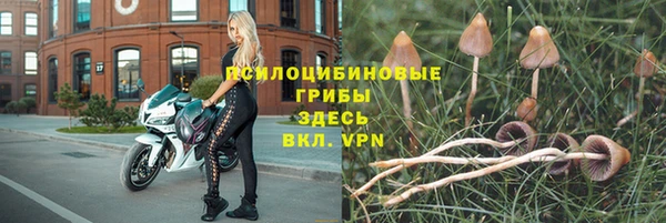 таблы Алексин