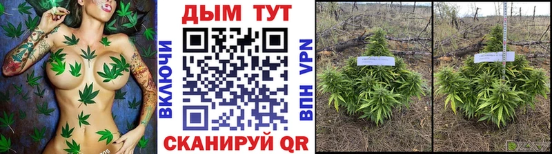 blacksprut tor  Карачев  Бошки Шишки сатива 